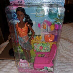 New Barbie  Pink Passport Hawaii Brooklyn Doll Brown